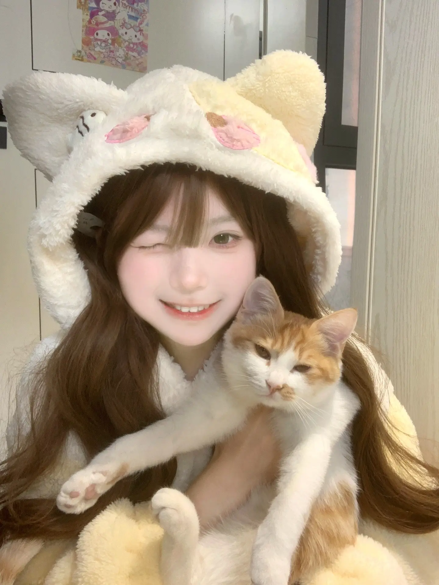 我的小猫换完牙啦๑^>⩊<^๑。