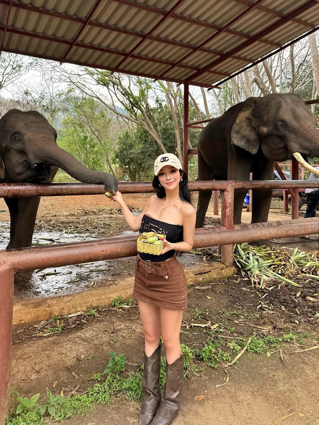 曼谷周边｜来考艾喂大象🐘逛芒果园啦🥭