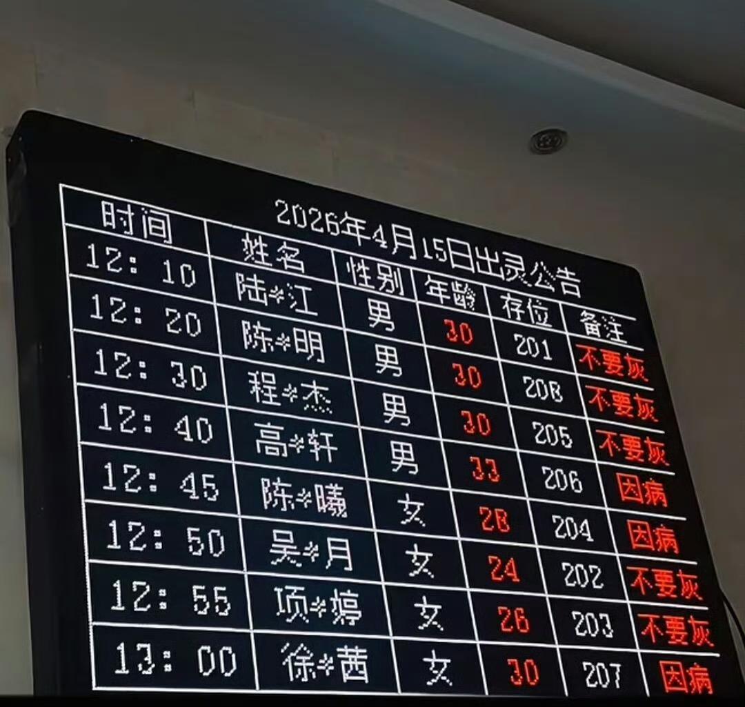 这么多不要灰，是因为没有后代吗？