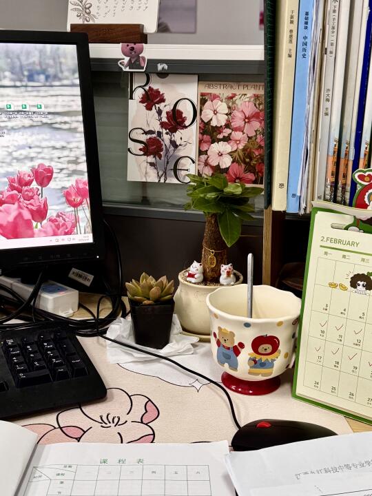 女教师低成本恢复生命力的自救指南❗️