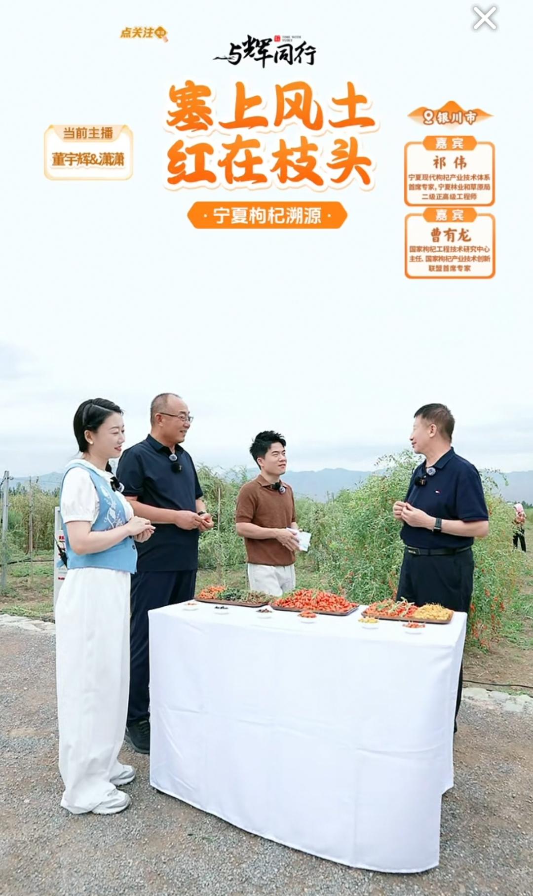宁夏枸杞溯源专场来了，这红彤彤的枸杞太眼馋了。[呲牙]

看宇辉和嘉宾侃侃而谈，