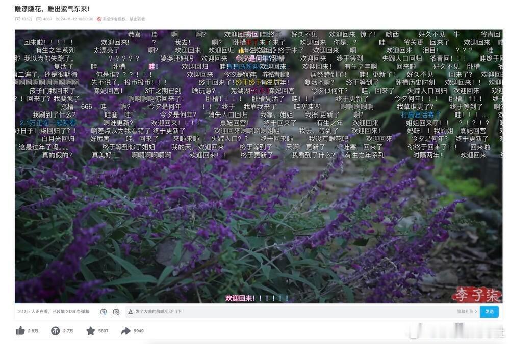 #李子柒回归#李子柒宣布回归，油管的评论数量 几分钟之内破3千，围脖上10分钟5