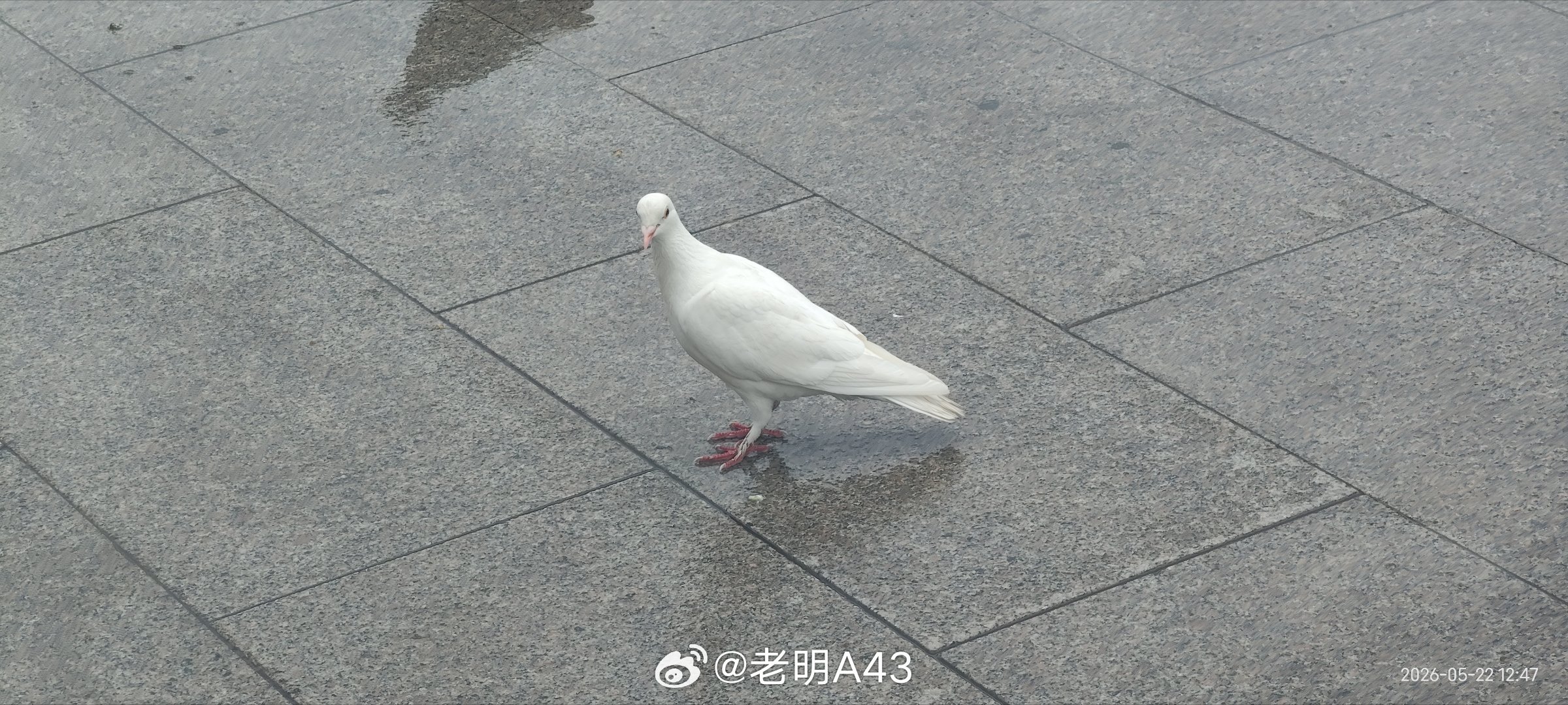 我感觉到很累很累一点儿也不想去思考问题不想打开电脑去工作并且现在又陷入了一直被否