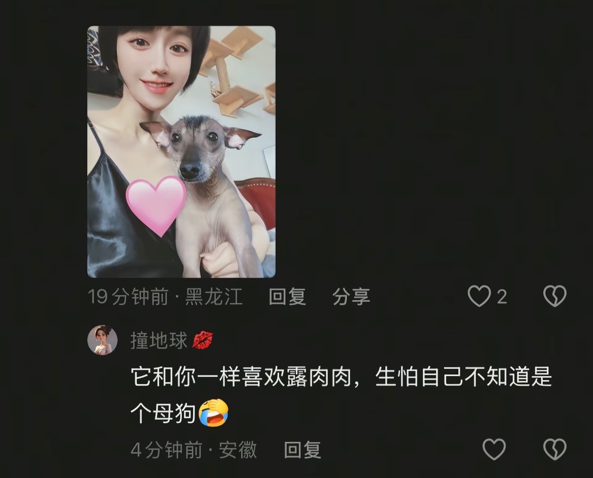 看到互联网的这群人就觉得自己一点也不刻薄～我这辈子都不会这么🗡️ 