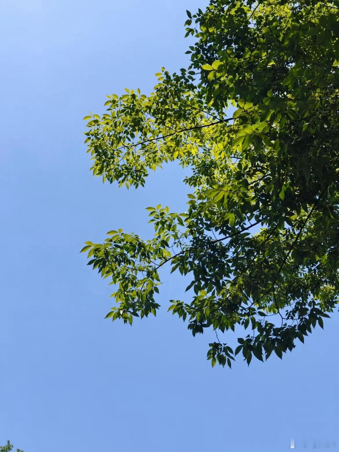 分享图片 ​​​