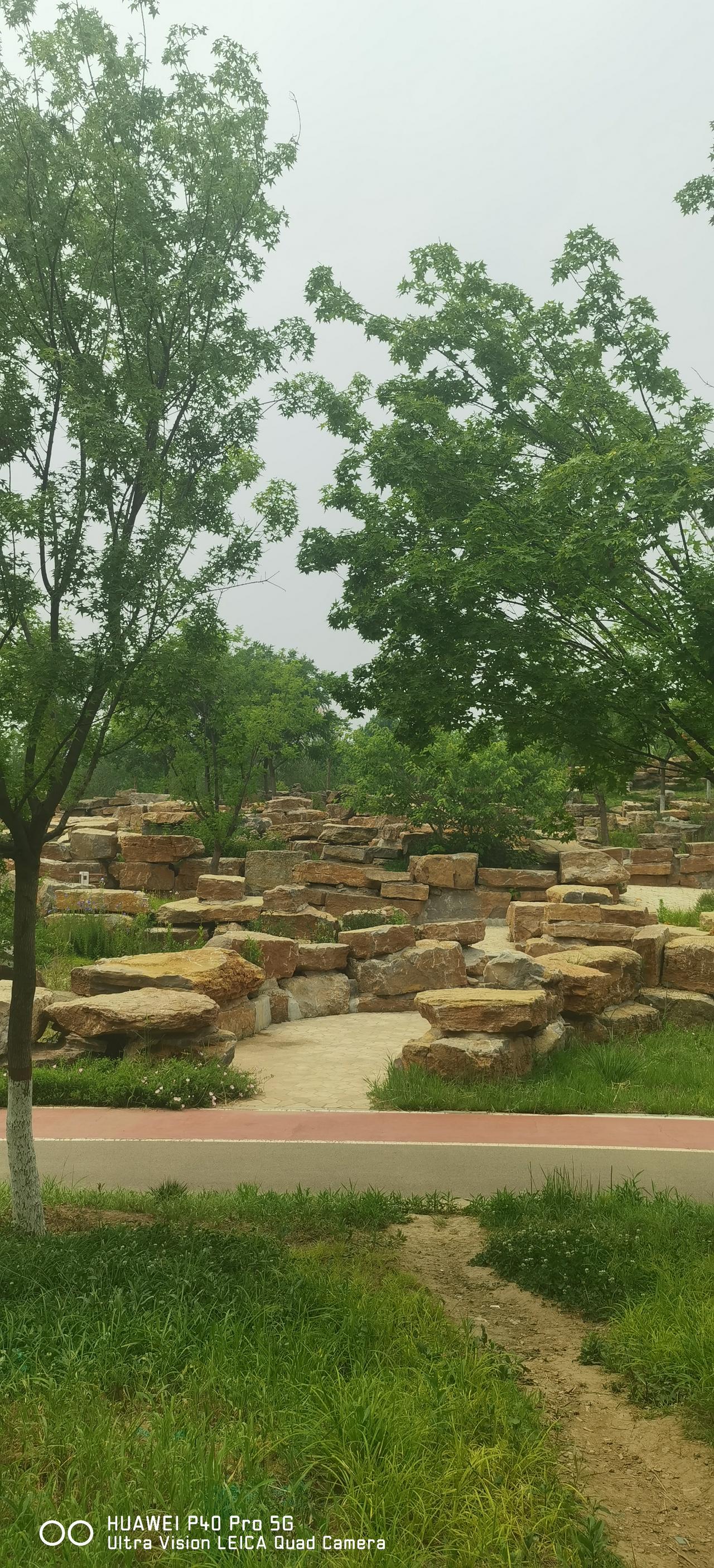 关于老年人免费乘坐公交和外地暂住或长期居住老人享受当地老人乘坐公交优惠政策的话题