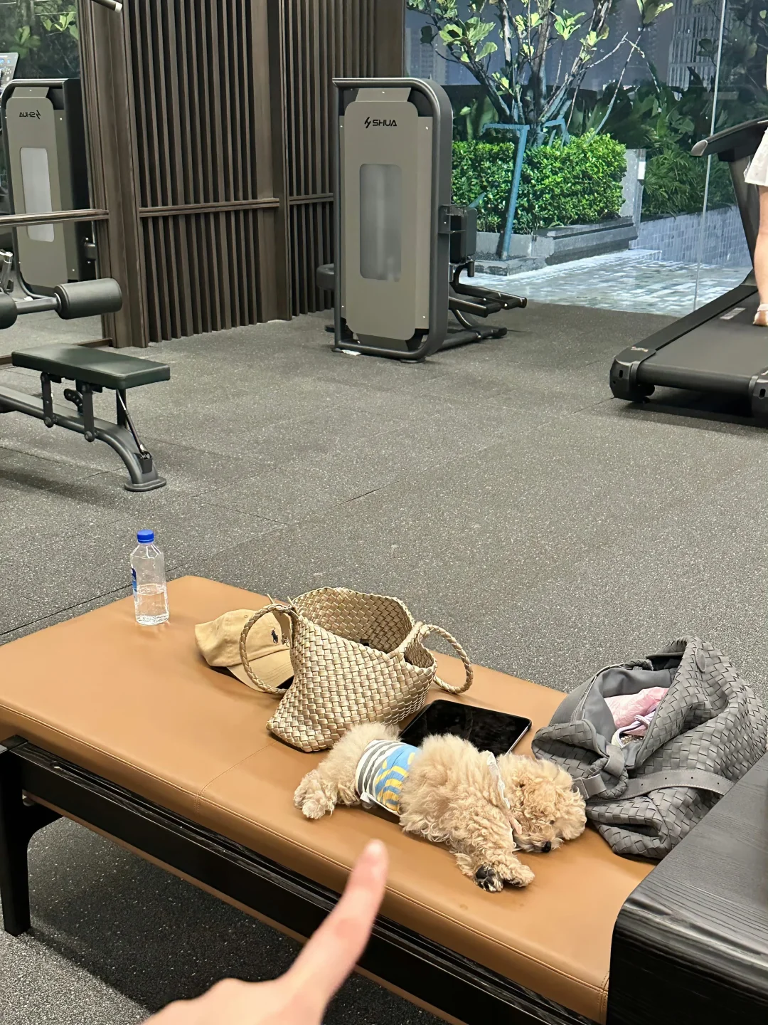 睡睡