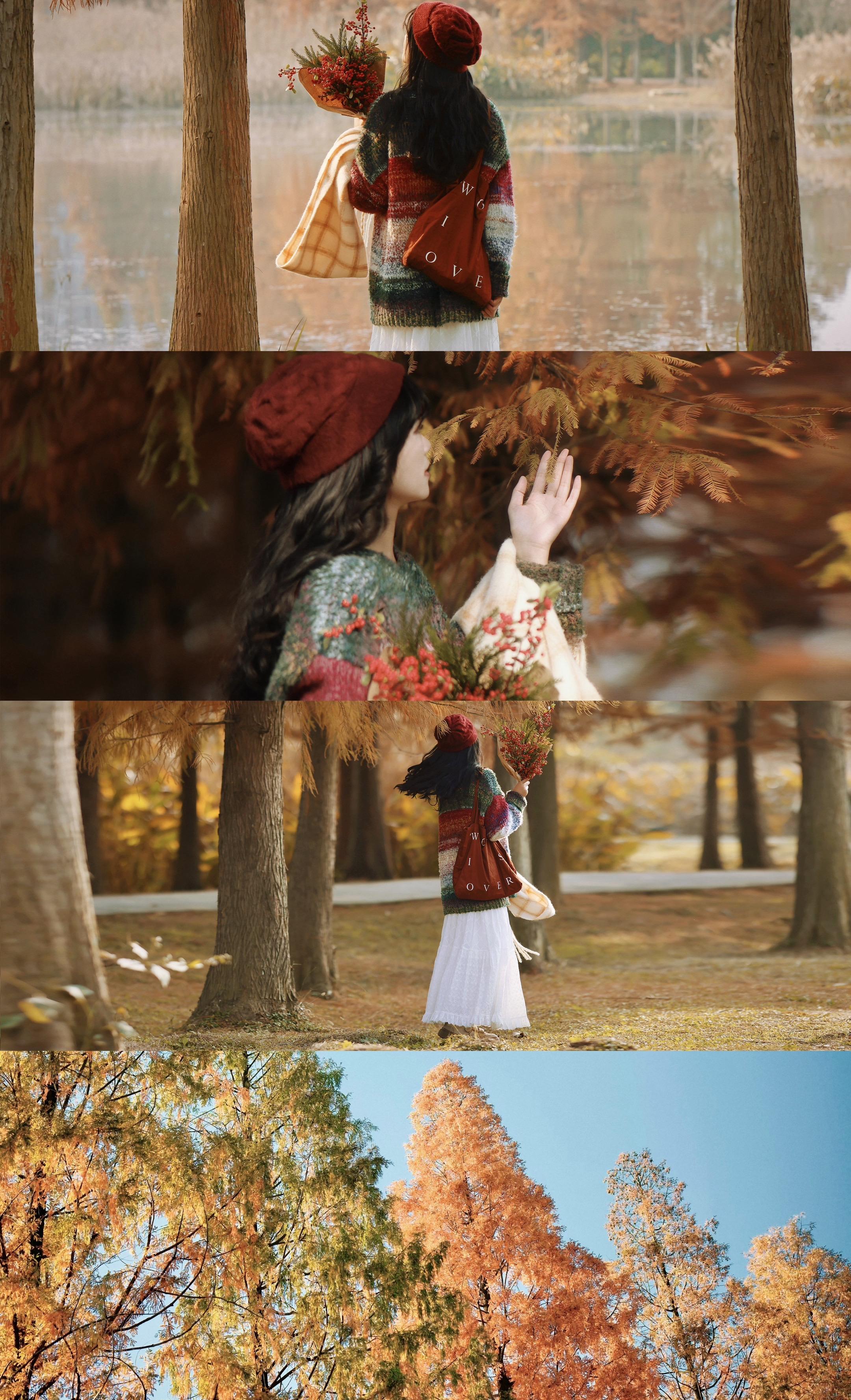 秋意浓｜拍出文艺氛围感。落羽杉开始红了 橙黄橘绿时，拍照刚刚好！ 搭配...