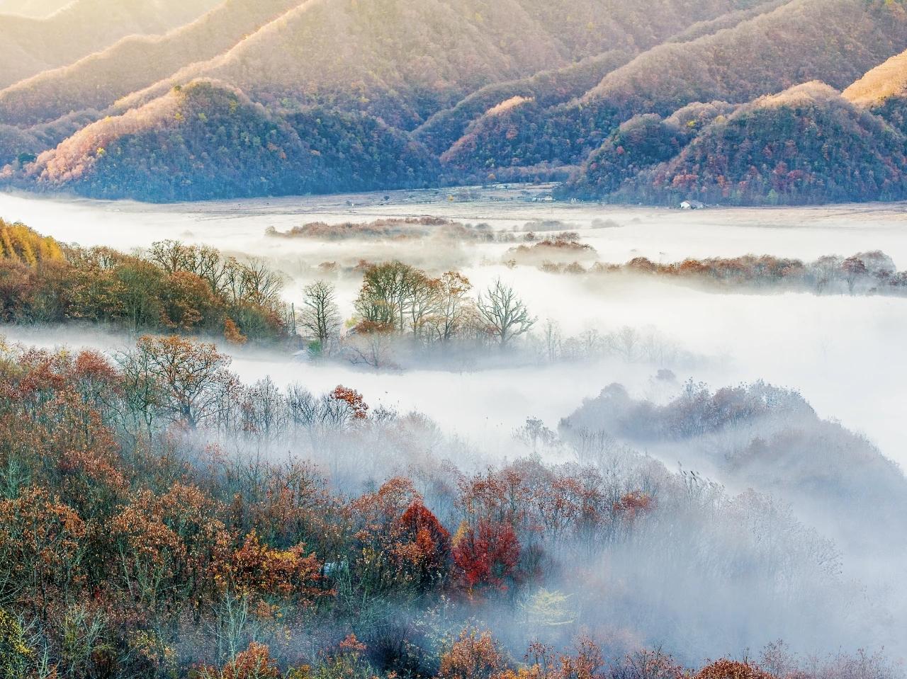 【爱情是瞎子，缺点看不见】
        “爱情是瞎子，缺点看不见”这话太对了