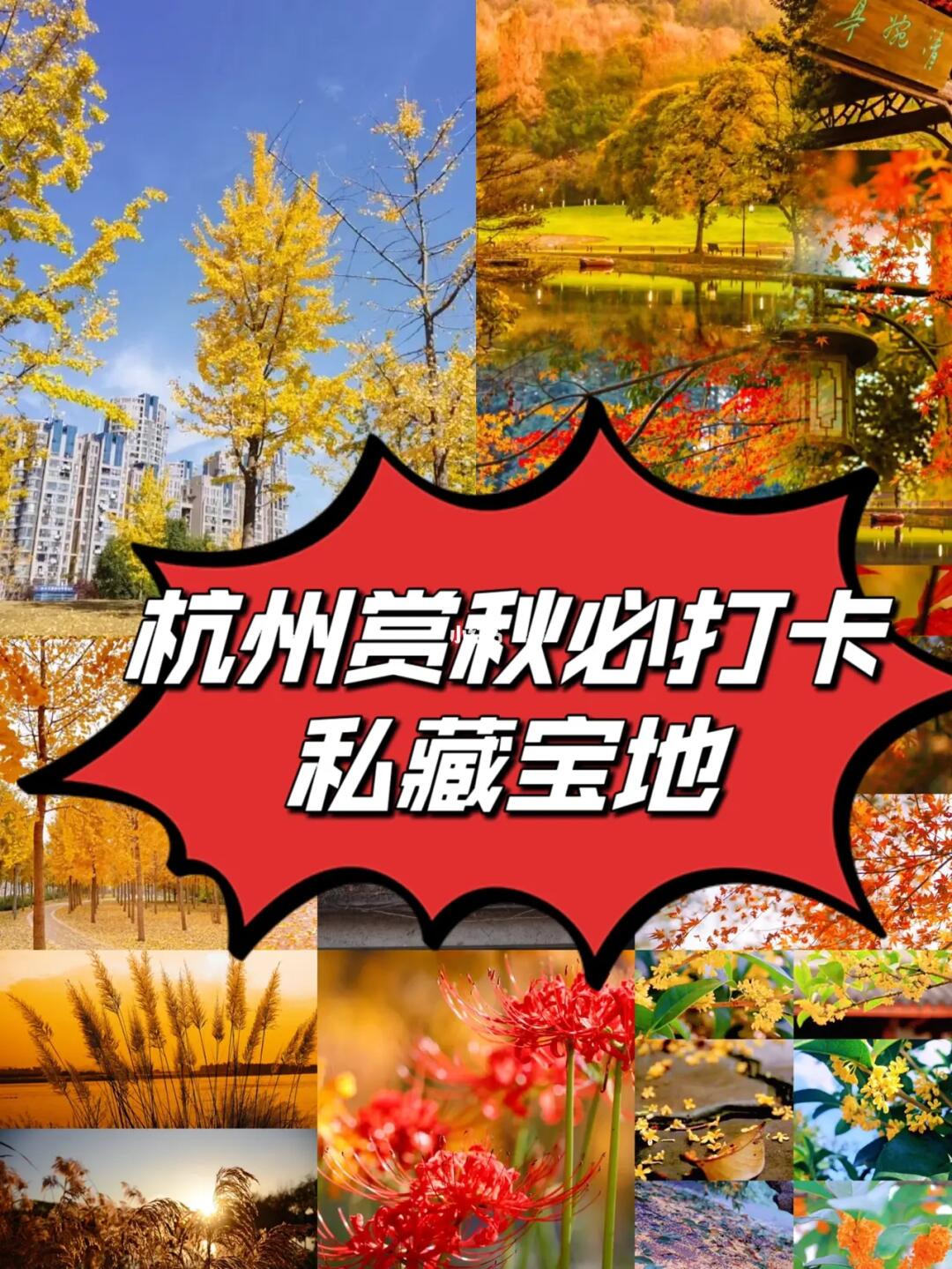 杭州秋天/赏秋必打卡的宝藏好去处（吐血整