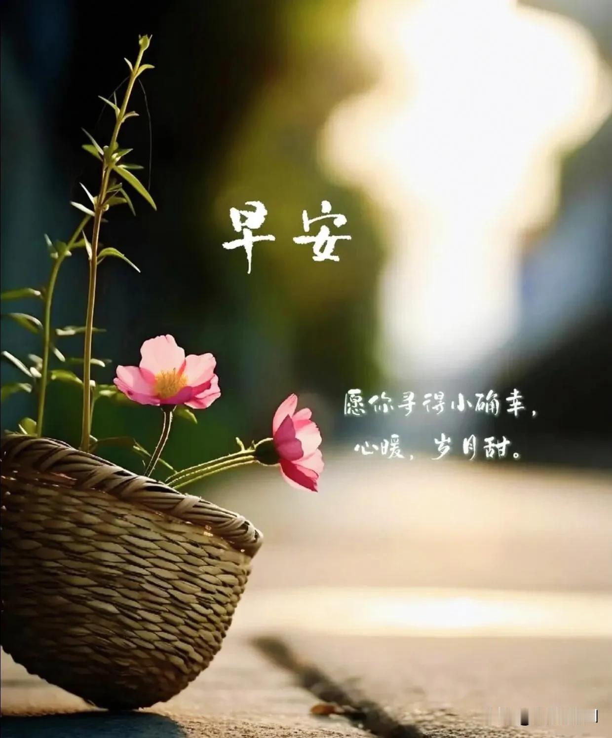 晨起留一份从容，存一份感恩。万般繁华皆是浮云，平安健康才是归宿。祝愿今日顺心如意