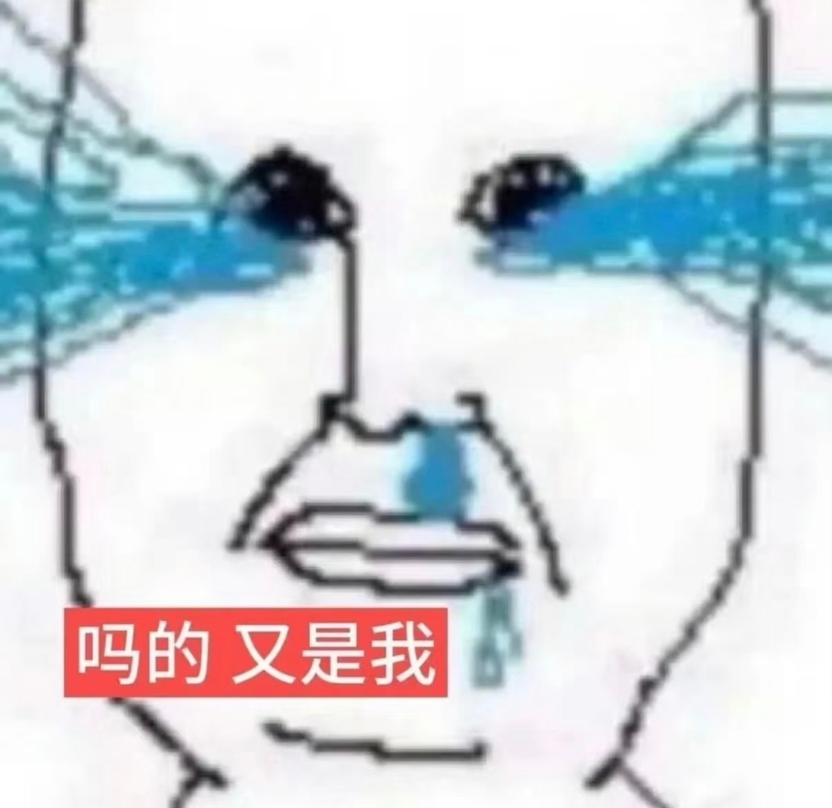 我都那么久没舔了 还一直吞我评论 