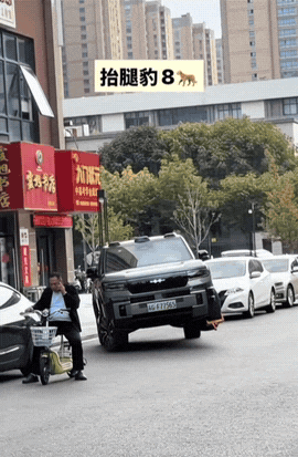 谁能告诉我这功能有什么作用？