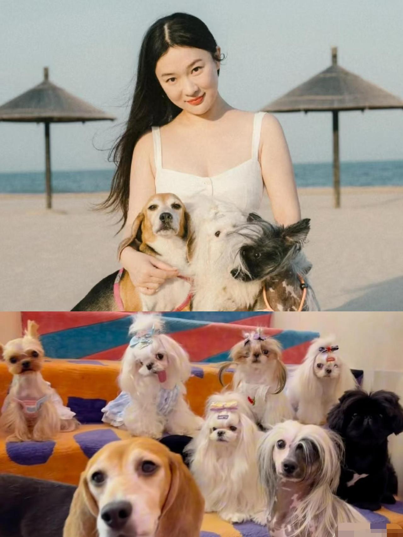 霍思燕啊霍思燕
真的不知道怎么说你好
把家里毛孩子当成家人对待，能把热爱的事做到