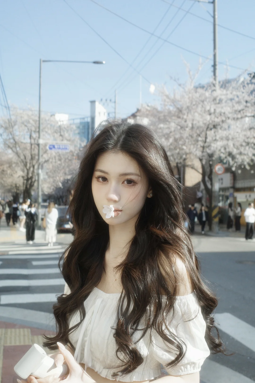 𝖲𝖺𝗄𝗎𝗋𝖺 in seoul