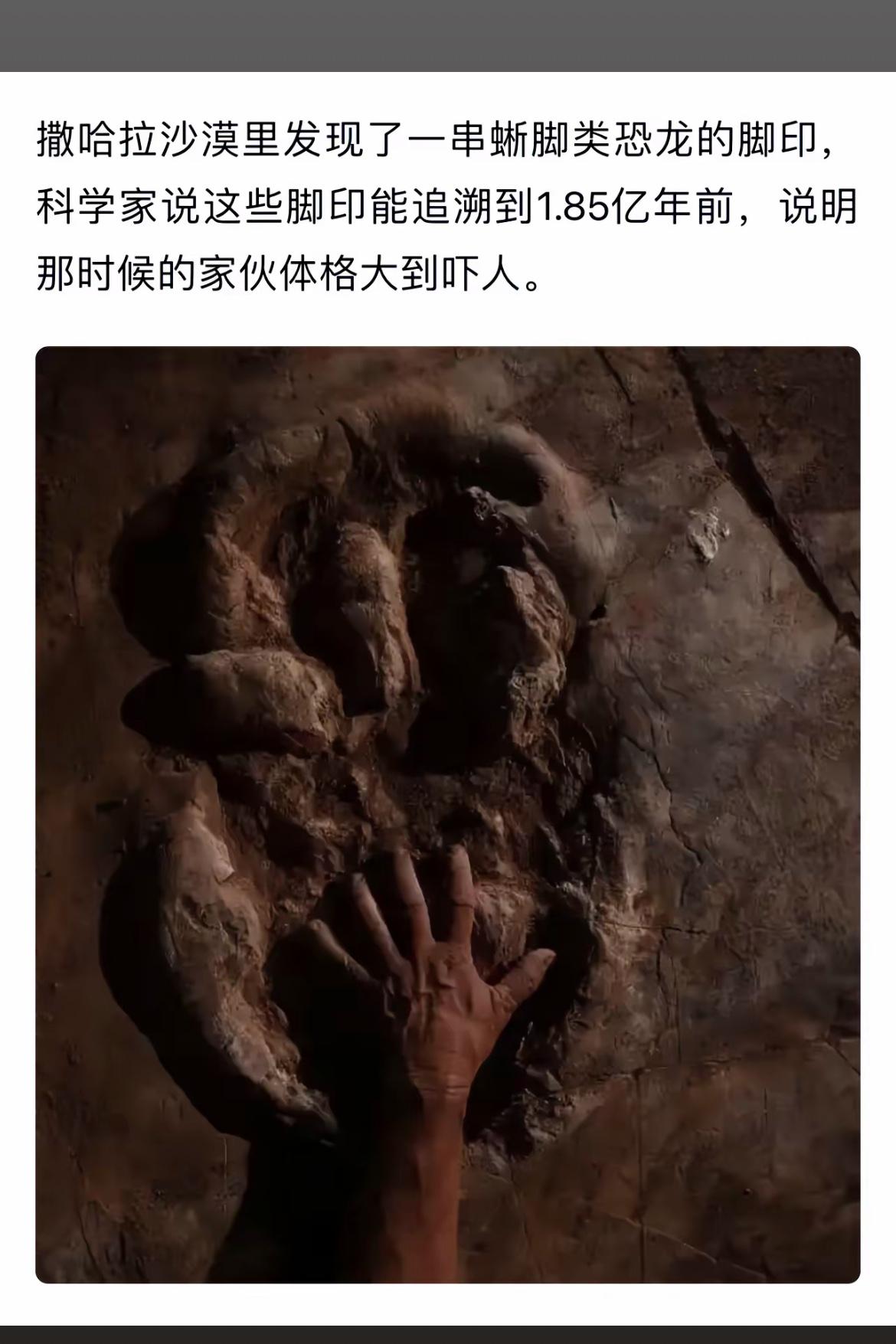 撒哈拉沙漠惊现史前巨兽脚印，远古巨兽现身！