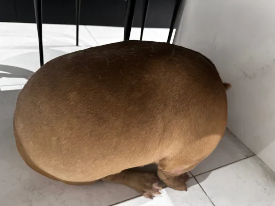 带你认识新物种