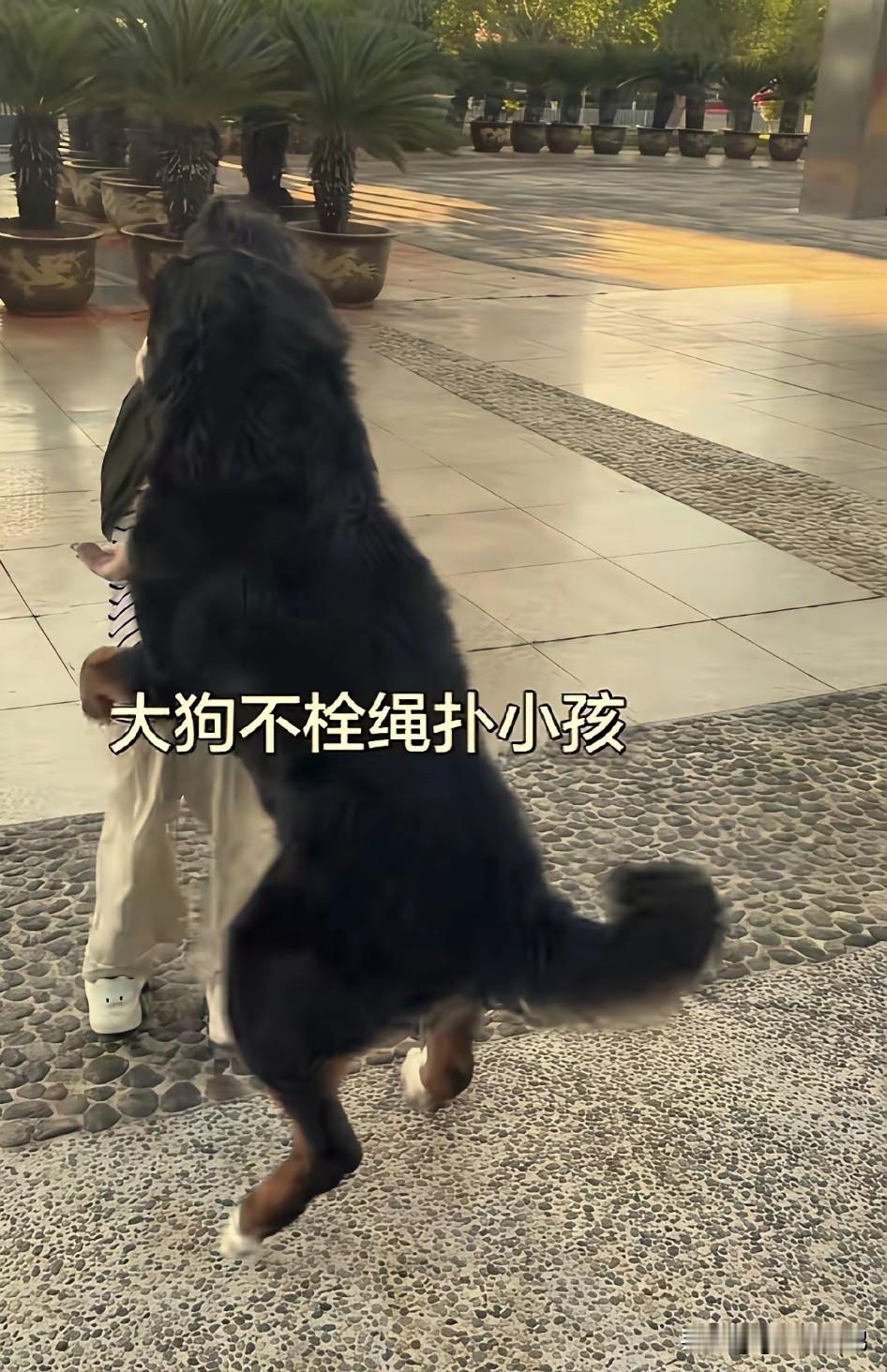 近日，玉溪市发生一起令人气愤的事件。一名玉溪市的网友和孩子去科技公园玩，没想到一