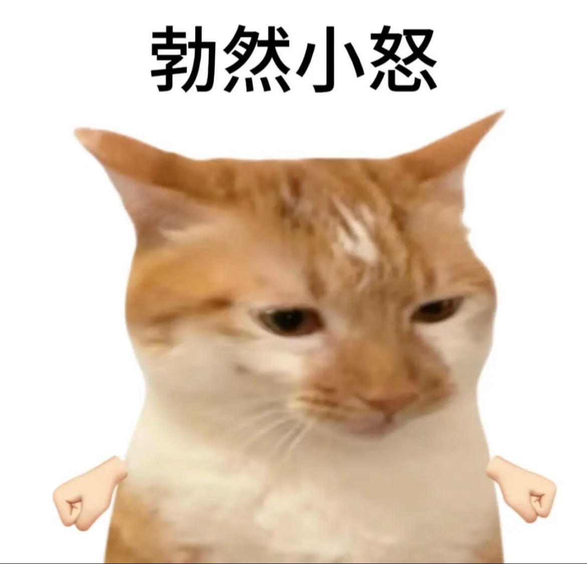 端午红包好好好，又一个口令没猜对小怒之下我也来个口令红包🧧，老规矩评论区征集口