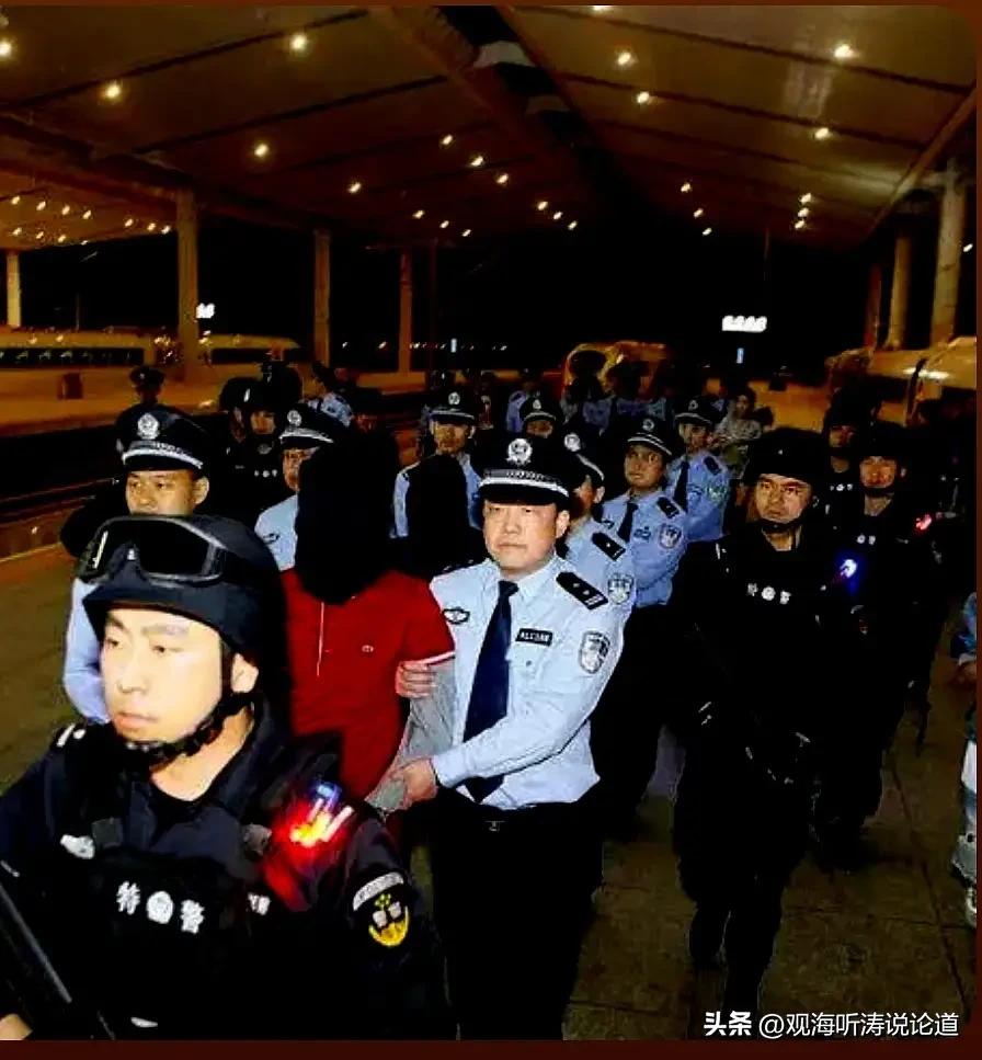 主要有如下六个原因：
①就业压力山大，
②收入呈现后退，
③侥幸心理加剧，
④传