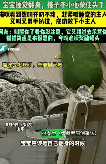 “太有灵性了！”山东，宝宝翻身，被子不小心蒙住头。没想到，家里猫咪看到想把被子叼