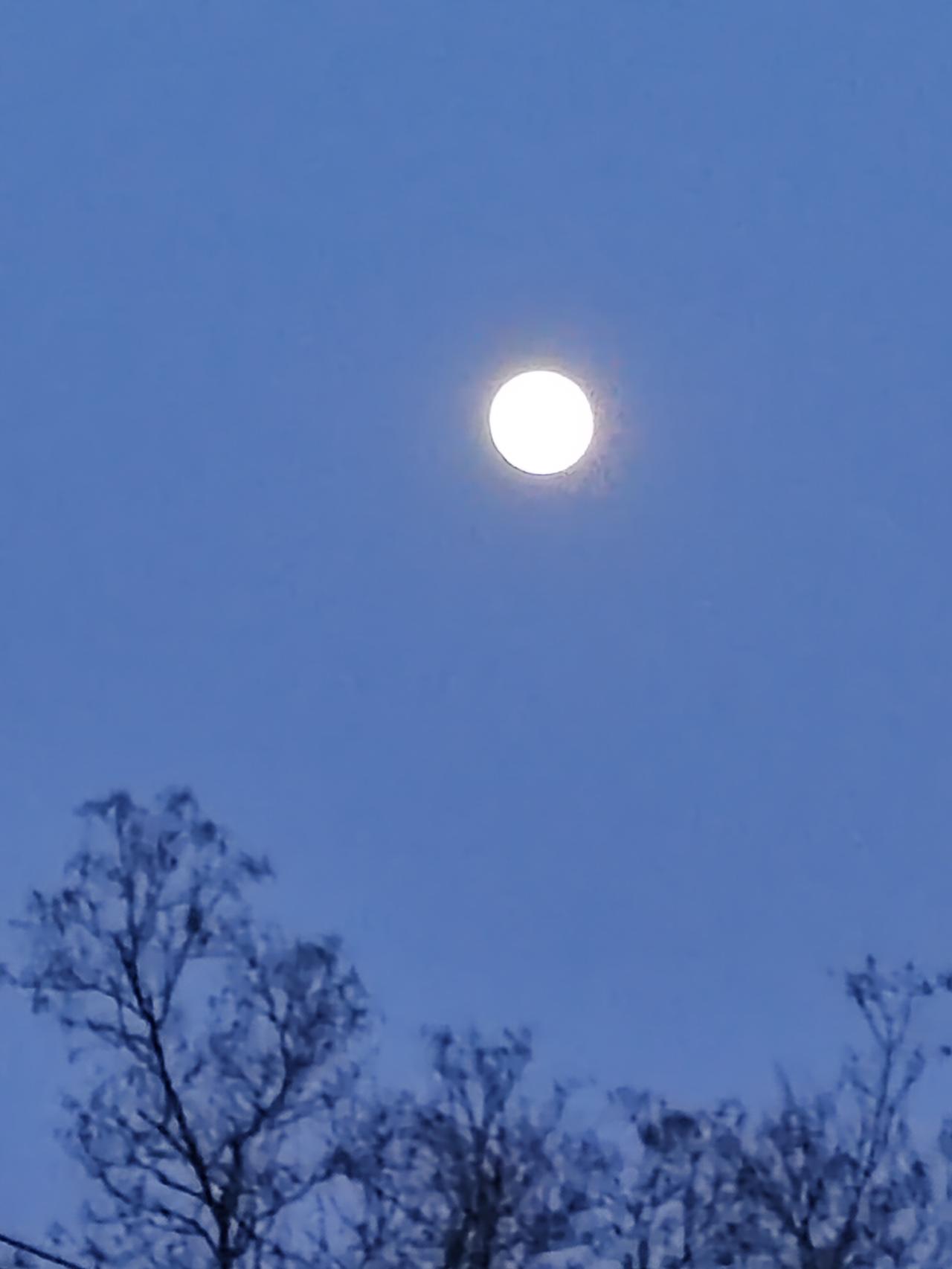 月如银盘天上镶，天底莹莹泛蓝光。冬树贪美伸头望，众人垂涎忙推窗。