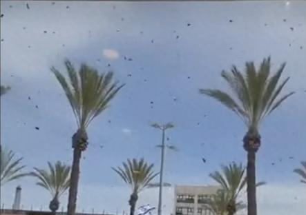 以色列南部城市内蒂沃特突然上演了吓人的一幕，上万只蜜蜂突然集结入城，把街道、车辆