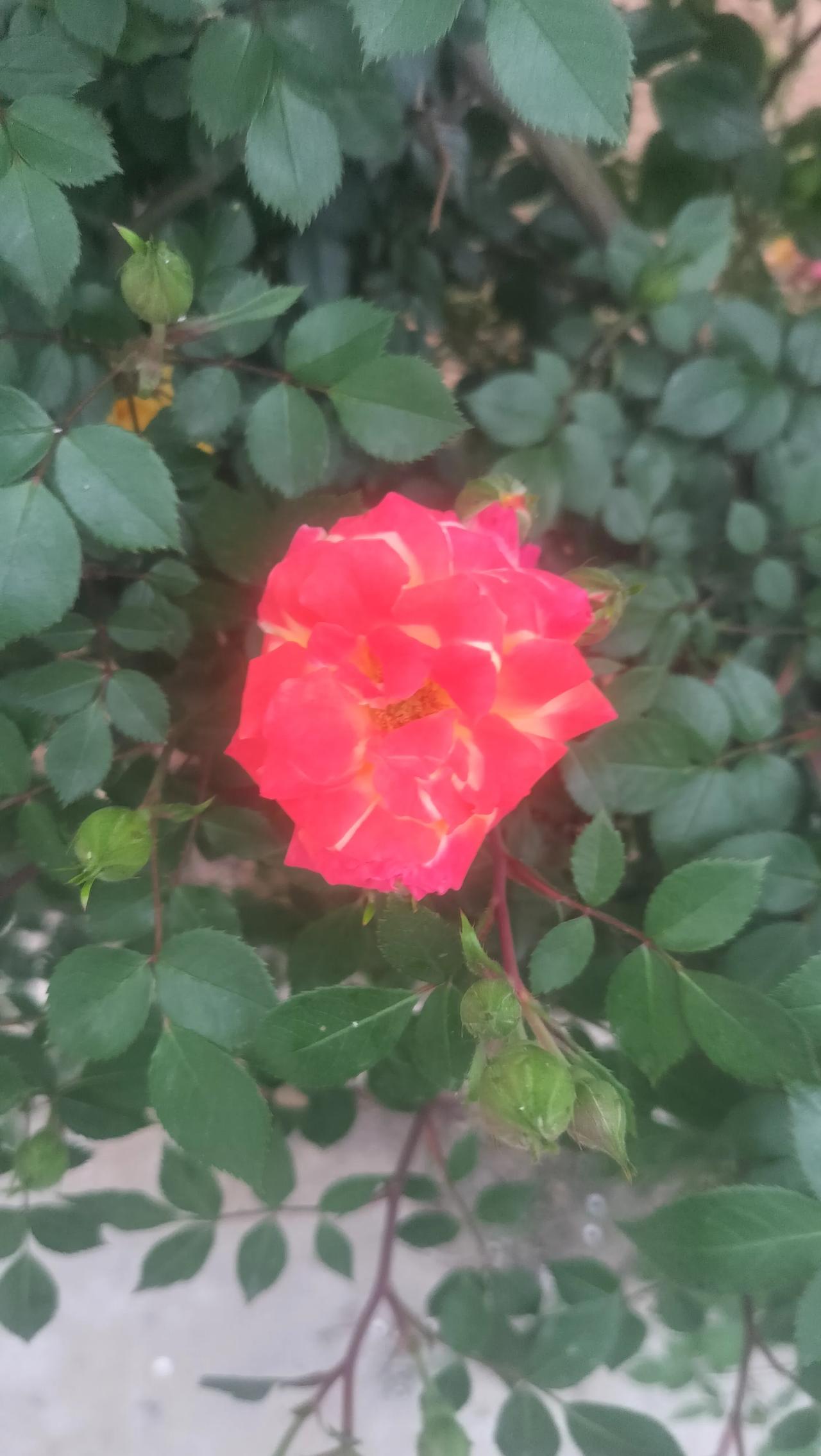 其实人生不用想太复杂，平安健康就胜过一切。家人常伴身边，有份踏实的日子，累了能歇