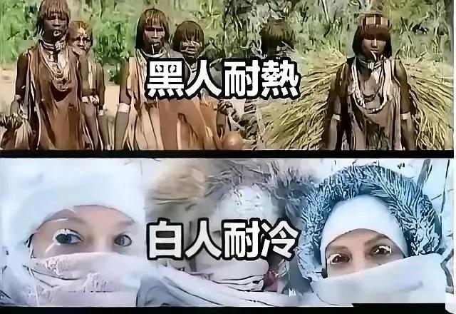 那么问题来了，我们黄种人耐什么？ ​#让国人瞧不上眼# #国民性是何物？# #人