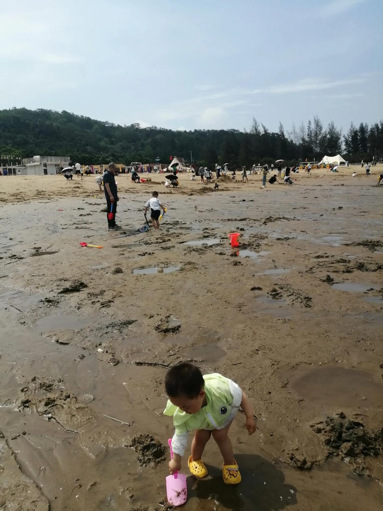 【防城港的海，孩子们的梦】

在阳光敲响清晨的钟
我们奔赴防城港的梦
海浪，是大
