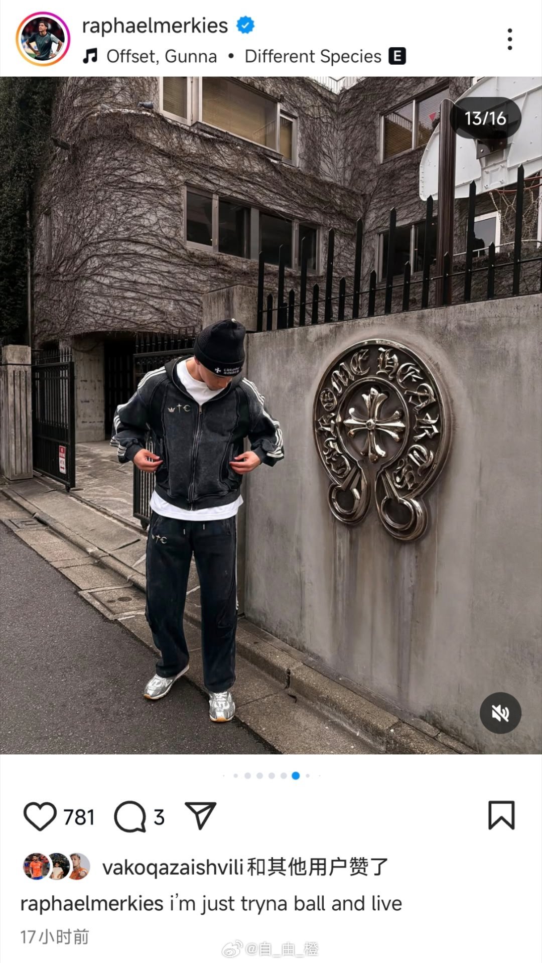 李小恒社媒晒照自由橙山东泰山