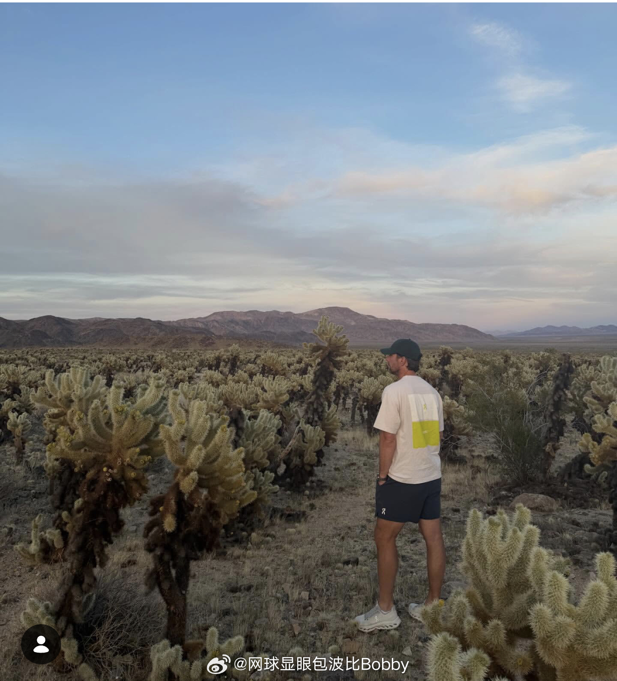 费塞特更新ins“回顾过去的一个月，感激那些精彩时刻和宝贵经历”网球斯瓦泰克与教