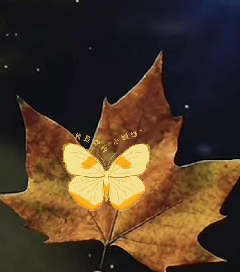 大自然在我手中