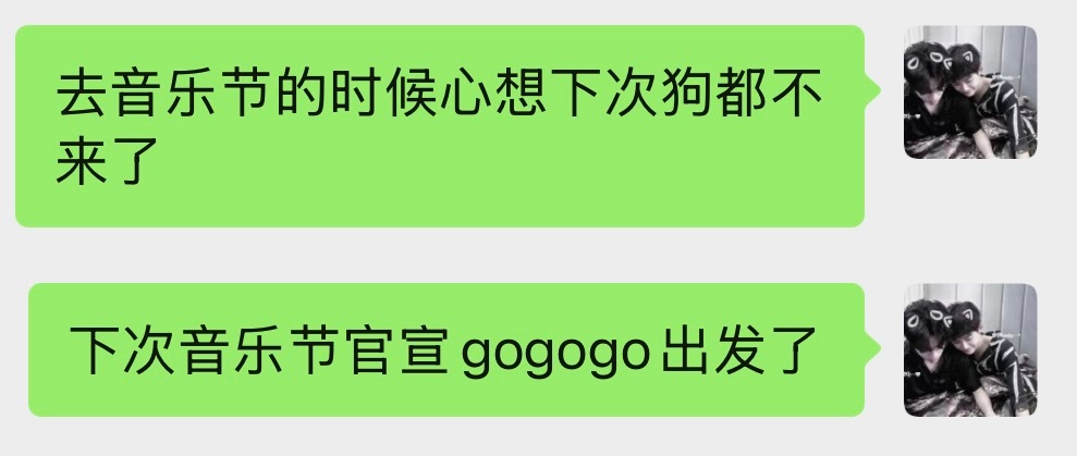 我每次音乐节都这样 