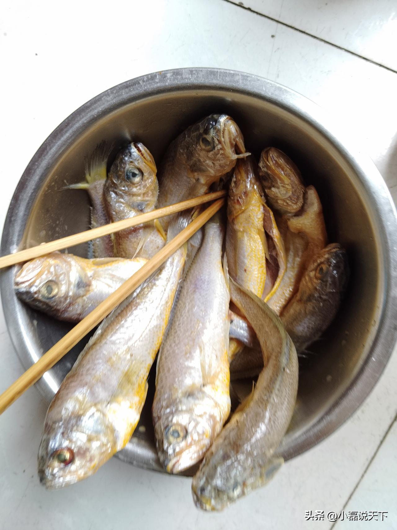 这盆小黄鱼看着就新鲜，银亮的鱼身泛着金黄光泽，是典型的东海小黄鱼，也叫小黄花鱼，