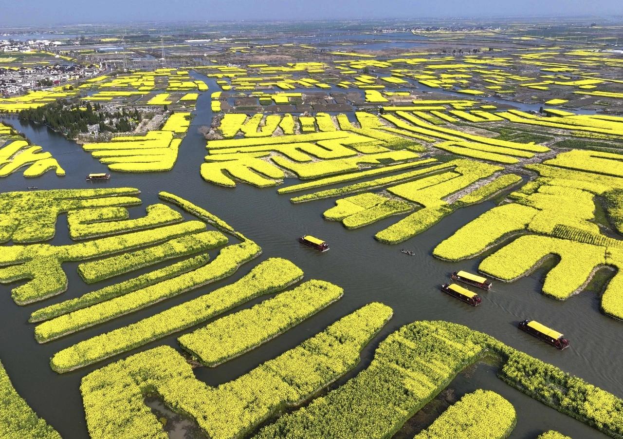 【四月宜出门，宜见面，宜开心】
        四月真是个超棒的月份！“四月宜出