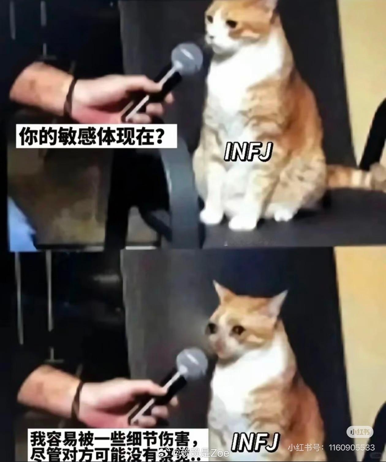 真的太牛了，完全是我 ​​​