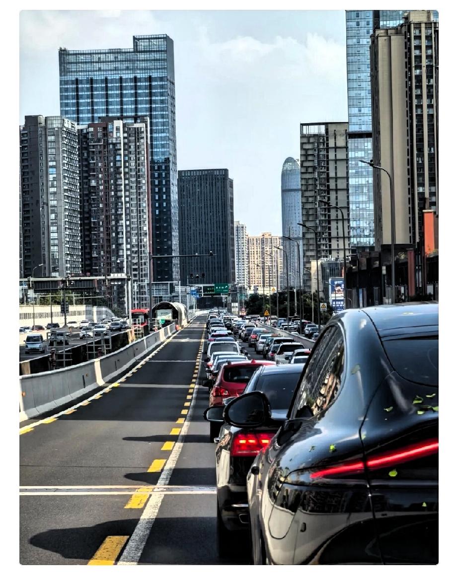 不学车，
不买车的人，
才是真精明的明白人

汽车不是资产，养车费太高，比如油钱