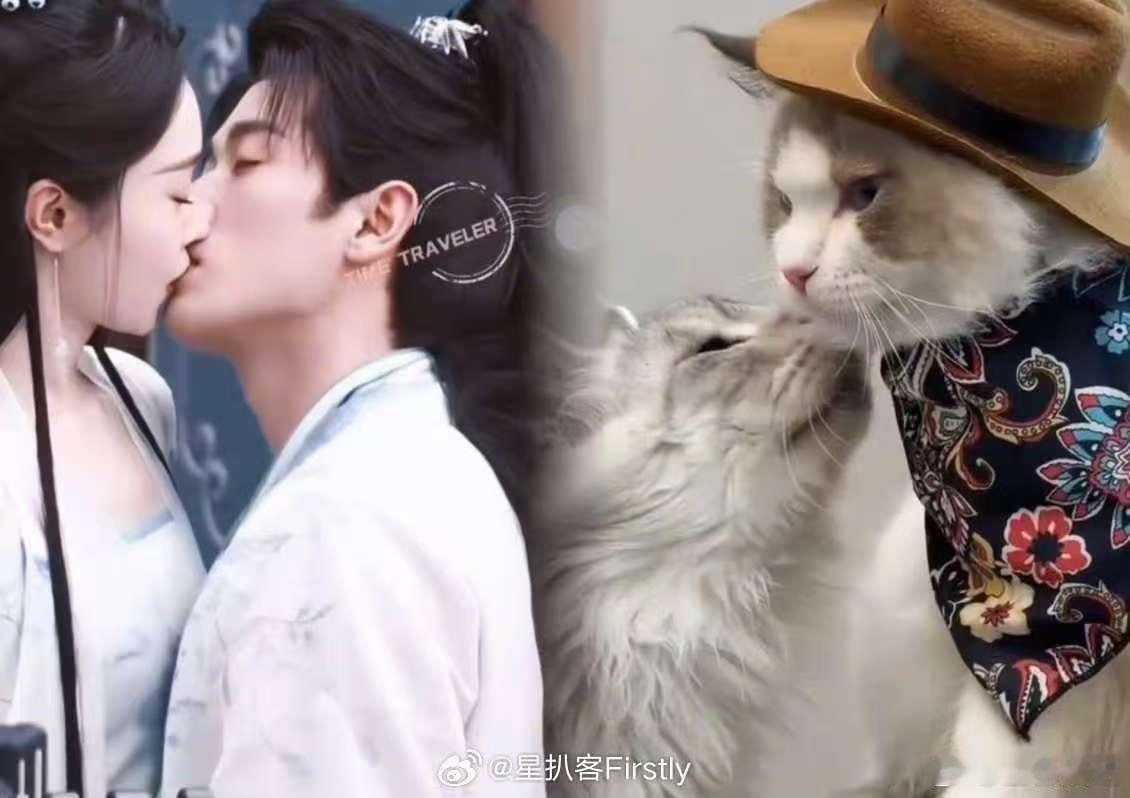 宋轶[超话]猫塑宋轶丞磊的人简直是个天才你好星期六谁脑洞大开猫塑宋轶丞磊呀，乖巧