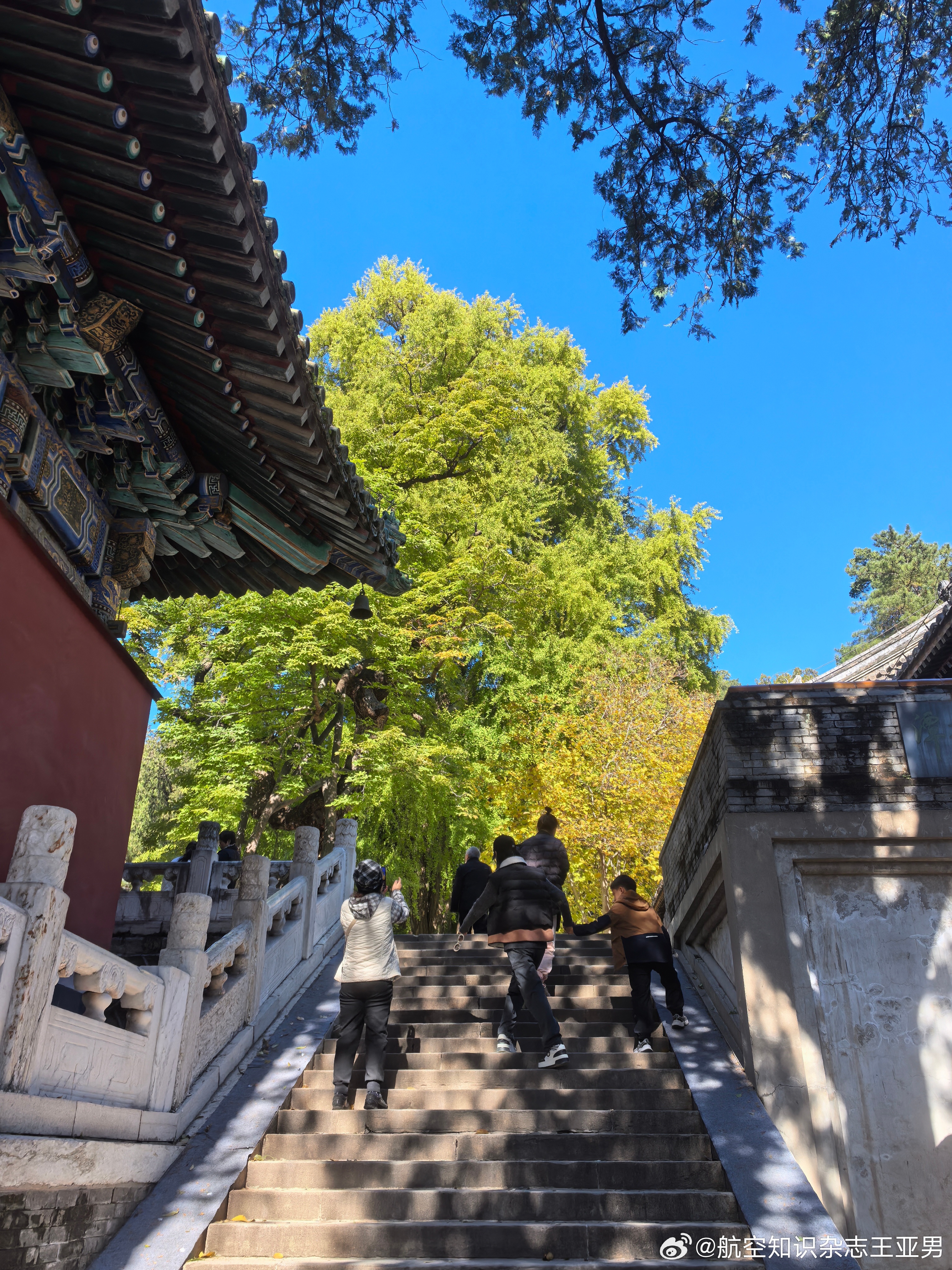 美景美食皆是色…人不能只有空，也得有色 ​​​