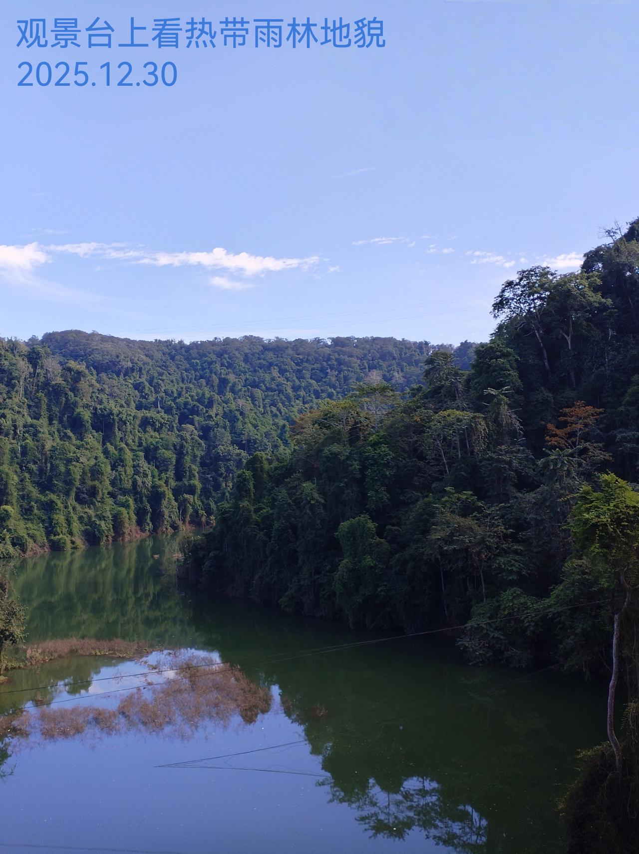 旅行的记忆--中国唯一的热带雨林