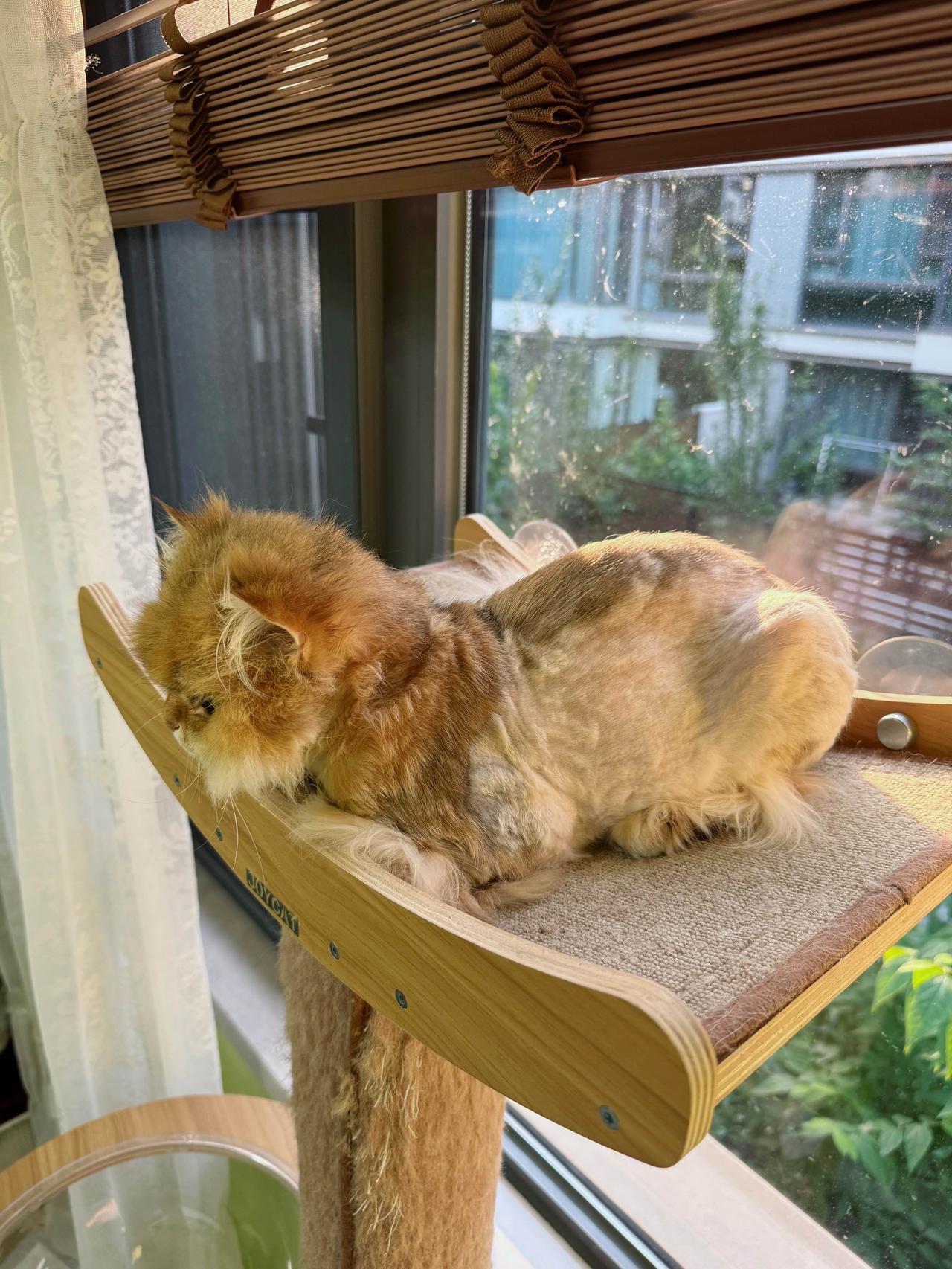爱晒太阳的小哪吒