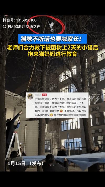 “笑不活了！”山东一校园内，有学生发现一猫妈妈在树下一直叫，抬头一看，树上还蹲着