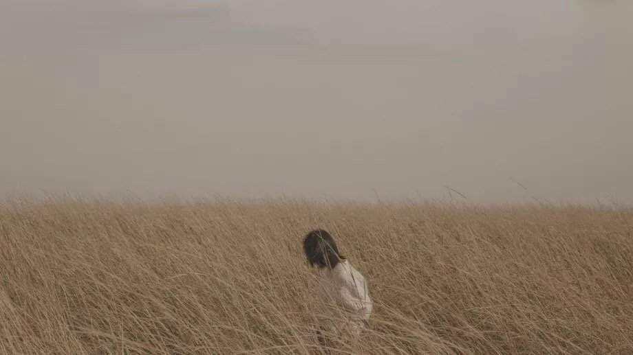 冷漠和淡薄，是对不喜欢的人和事，最有力的反击。——刘同