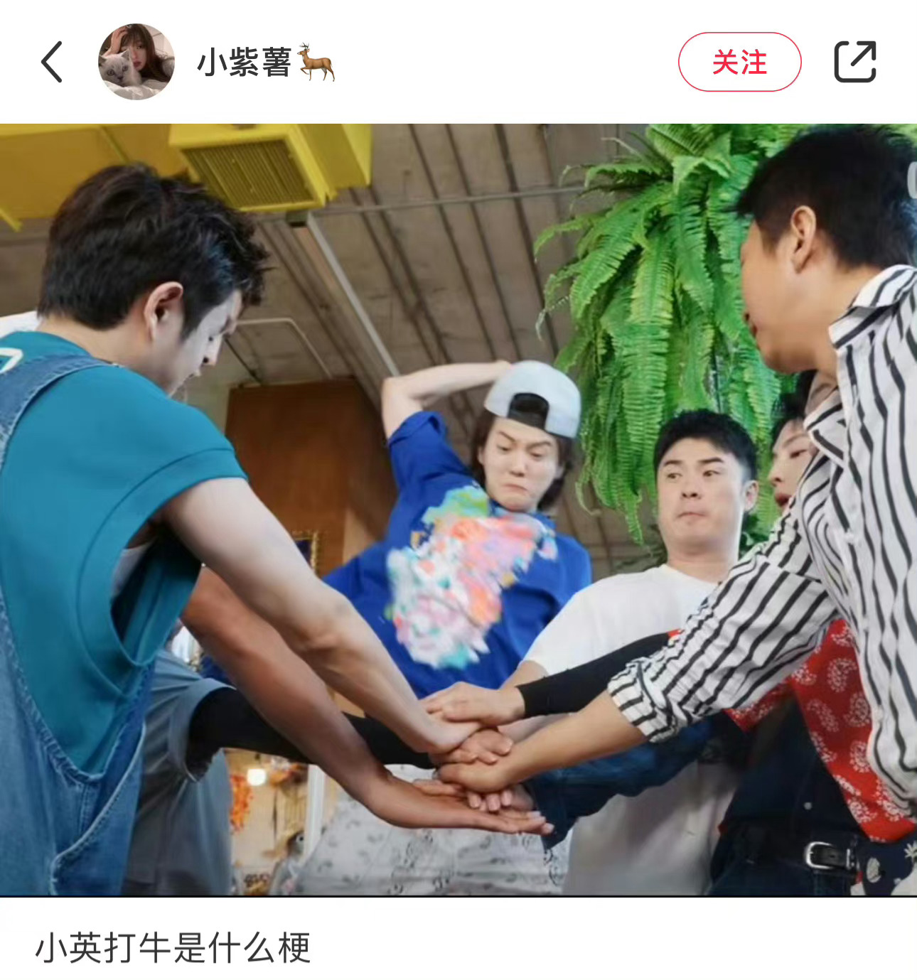 #鹿晗小英打牛# 哈哈哈哈哈怎么回事，鹿晗不要面子的吗[哈哈]你们芦苇姐姐都是假