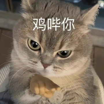 半凡赏科技
