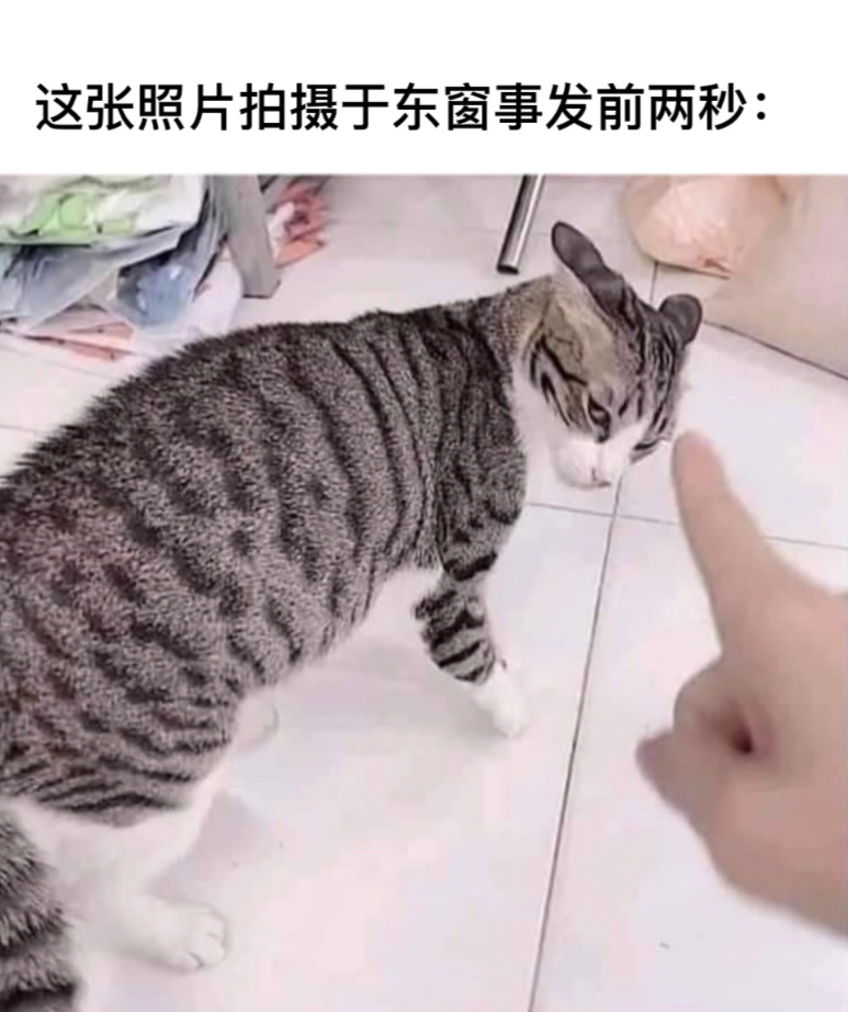 开干！#今日memes##我的幽默搭子##定格# ​​​