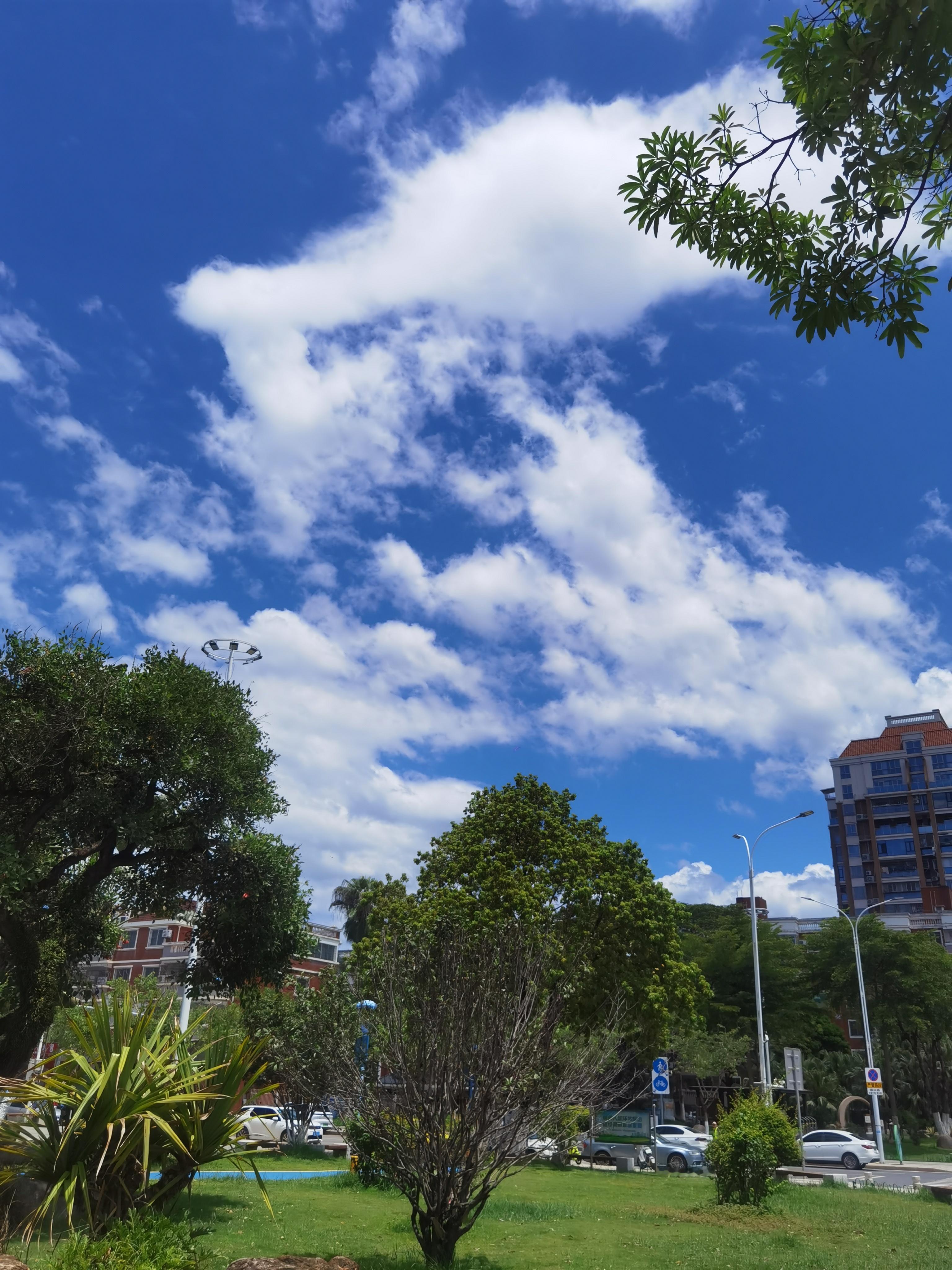 这天真热预报不是有雨？我的日常plog  ​​​