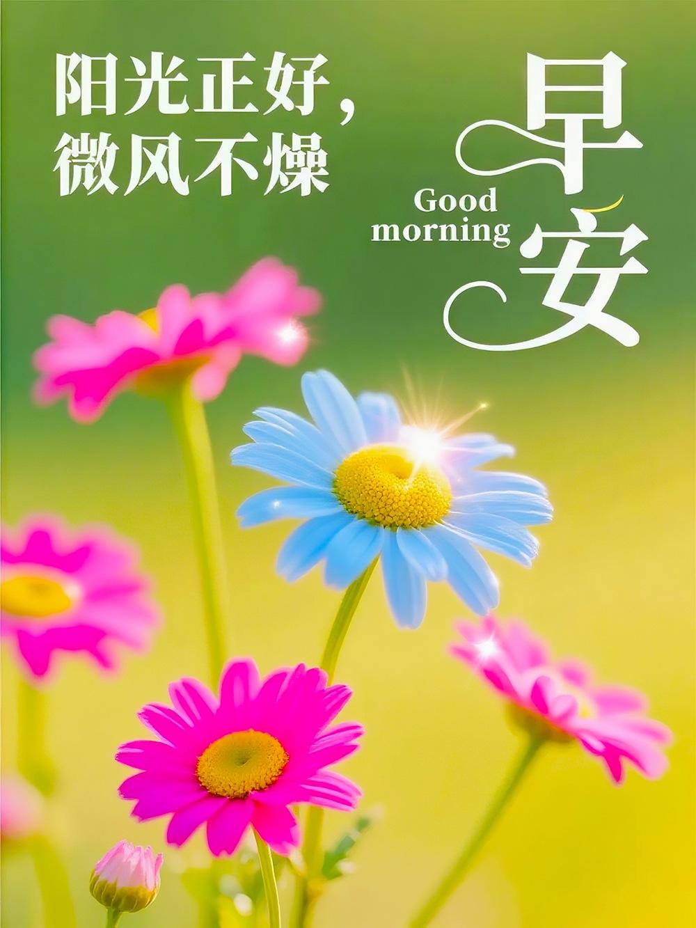 🕊️🌼⏰岁月静静流淌，愿你身心常安康；日子忙忙碌碌，盼你欢喜在心房。致我最珍