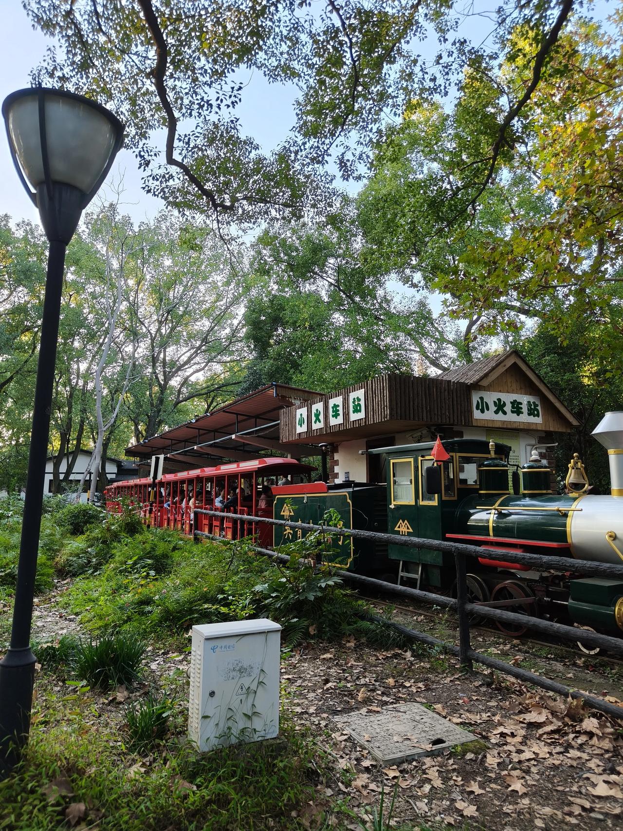 冬日公园随手拍实景图分享！

共青森林公园菊花展随手拍～